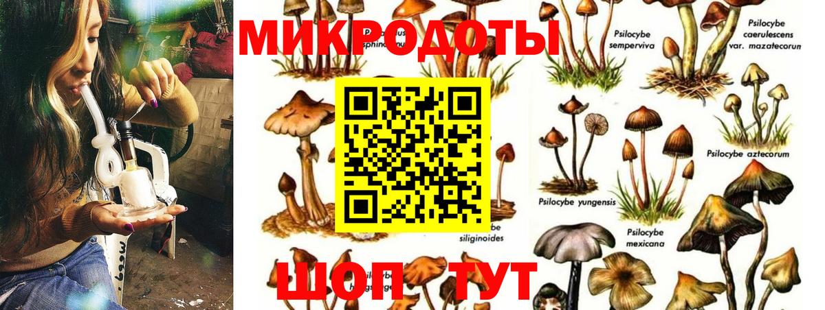Псилоцибиновые грибы прущие грибы  Вход с VPN  Псилоцибиновые грибы мухоморы  Нижний Тагил 